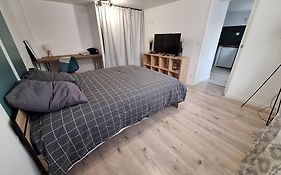 T1 bis, jardin, proche du centre
